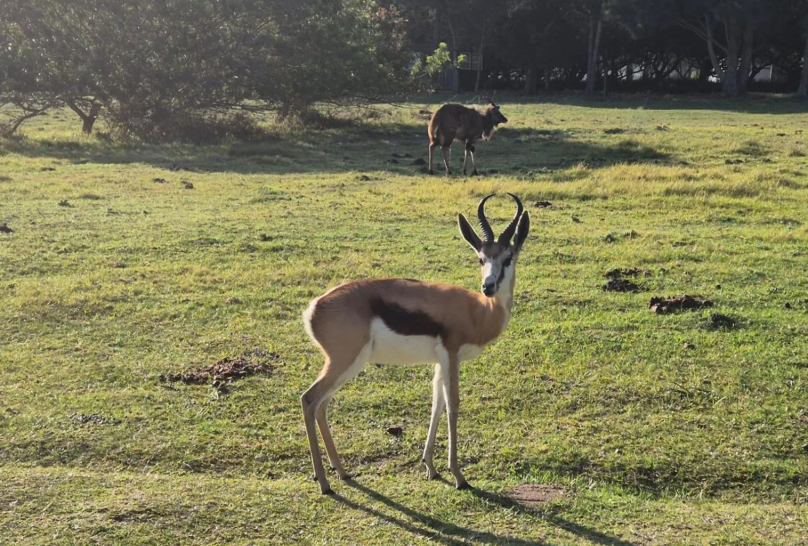 Wild Paradise Farmstay Lorraine 农家乐