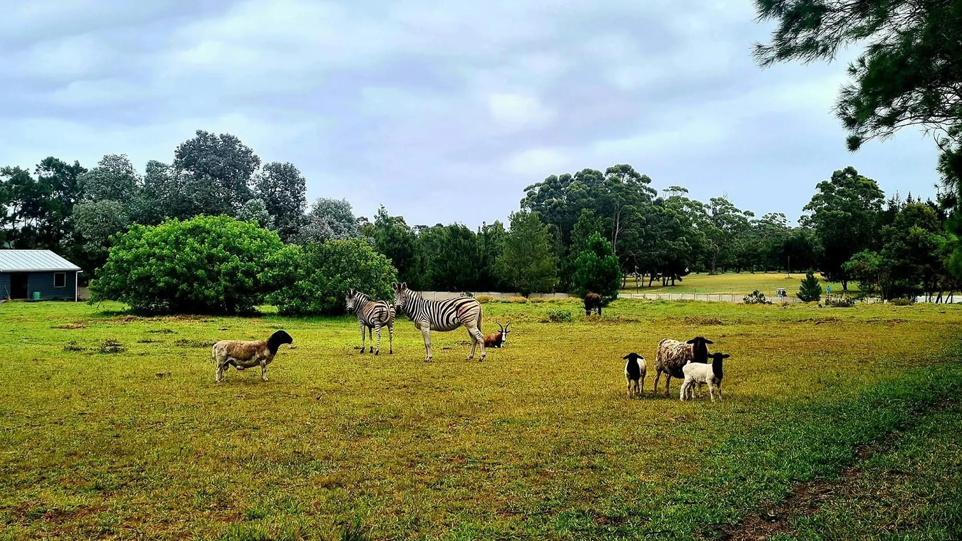 Wild Paradise Farmstay Lorraine 农家乐 伊丽莎白港
