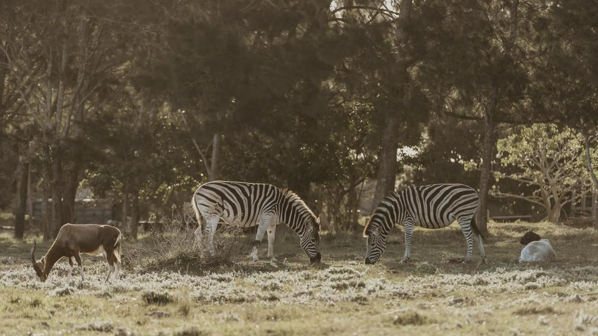 Wild Paradise Farmstay Lorraine