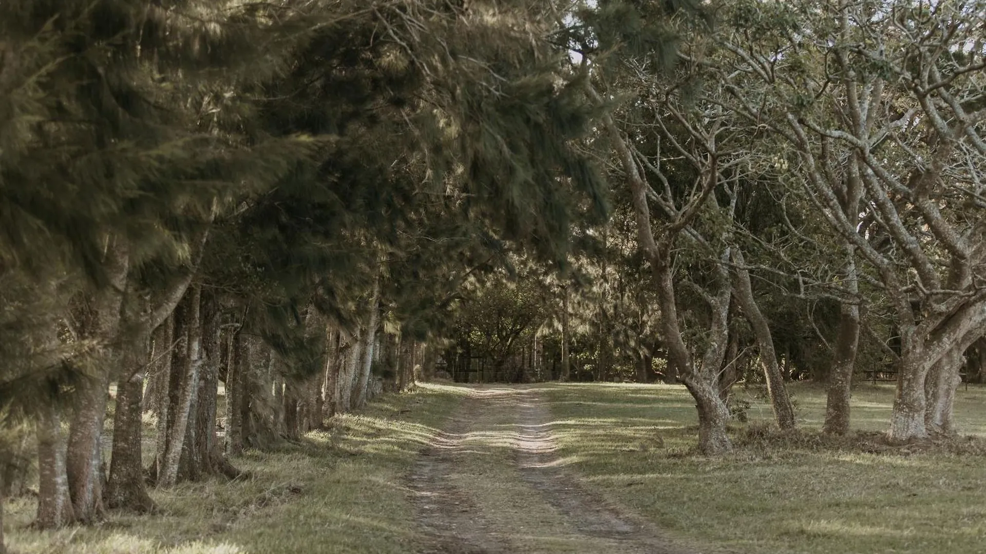 Wild Paradise Farmstay Lorraine