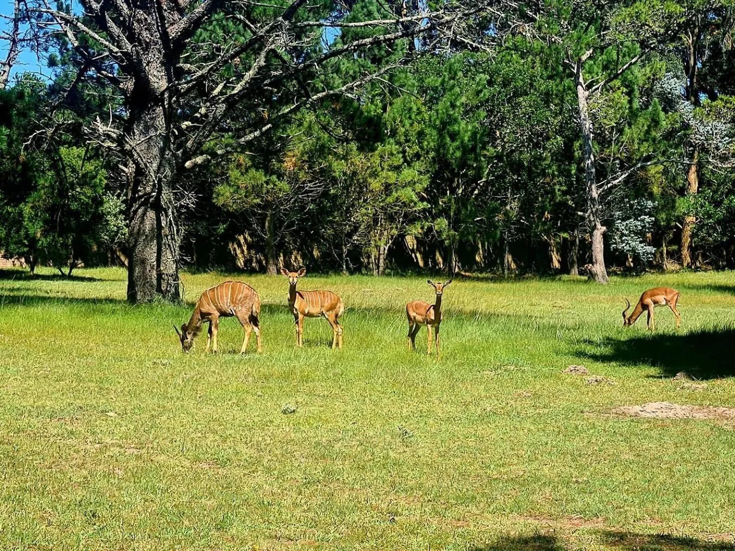 农家乐 Wild Paradise Farmstay Lorraine